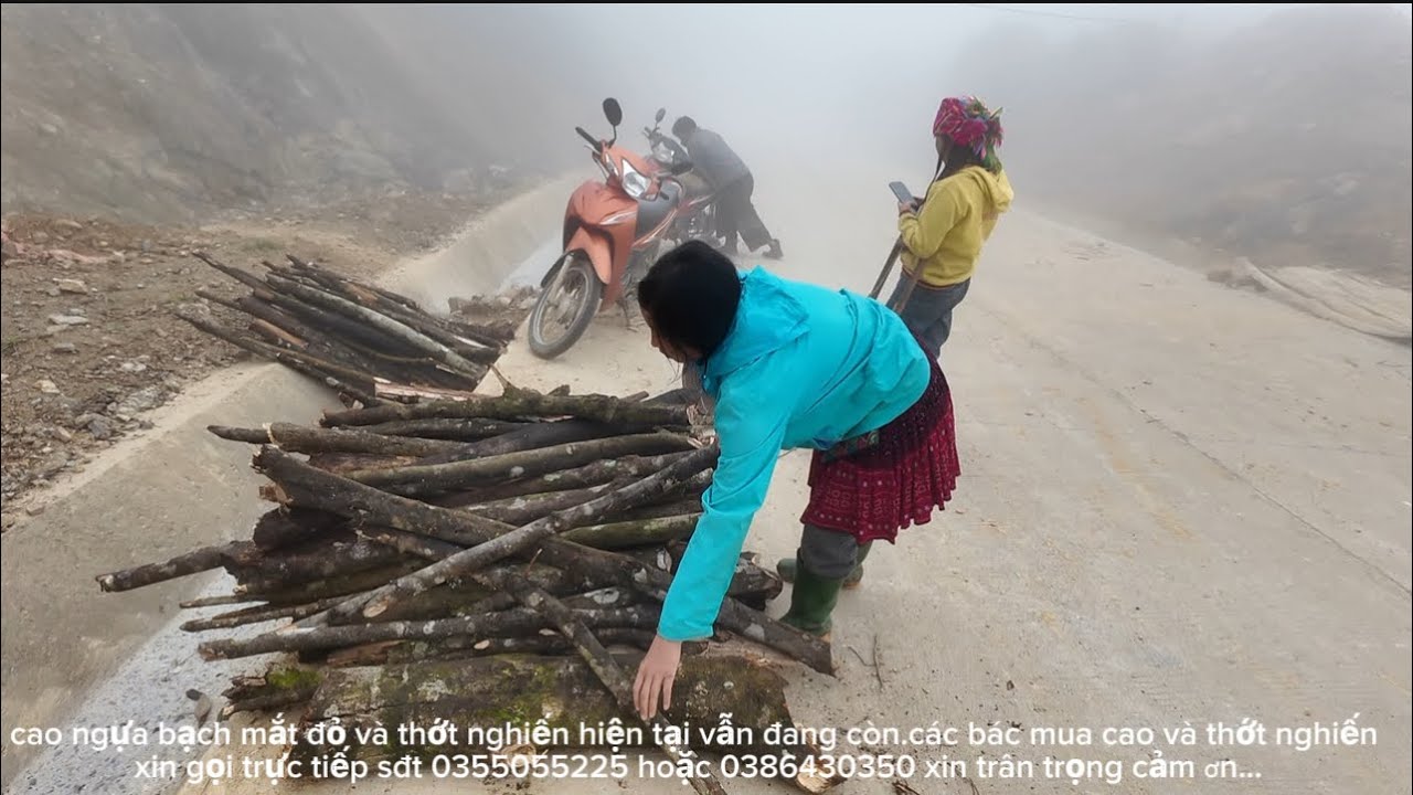 háng đay thay đổi rất nhiều.chuẩn bị có điện lưới.đưa giống dưa mèo về xuôi @GÁIBẢN 