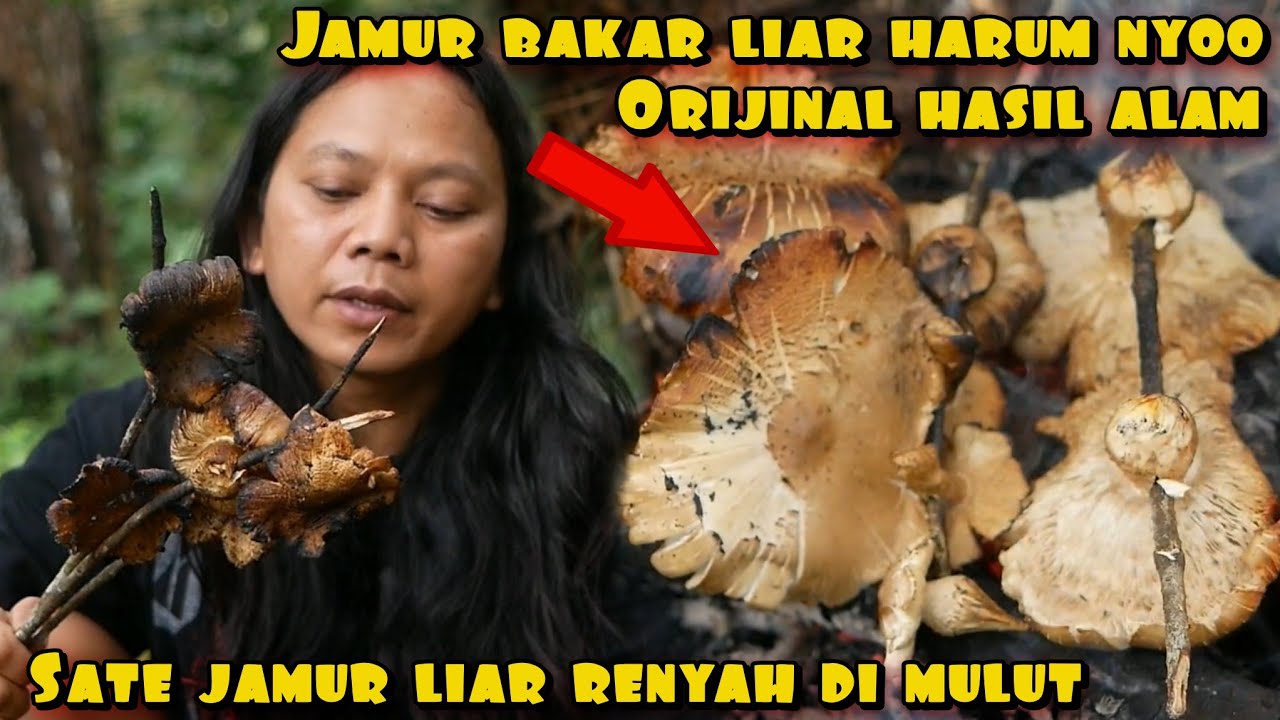 JAMUR BAKAR HASIL BURUAN DI HUTAN BELANTARA