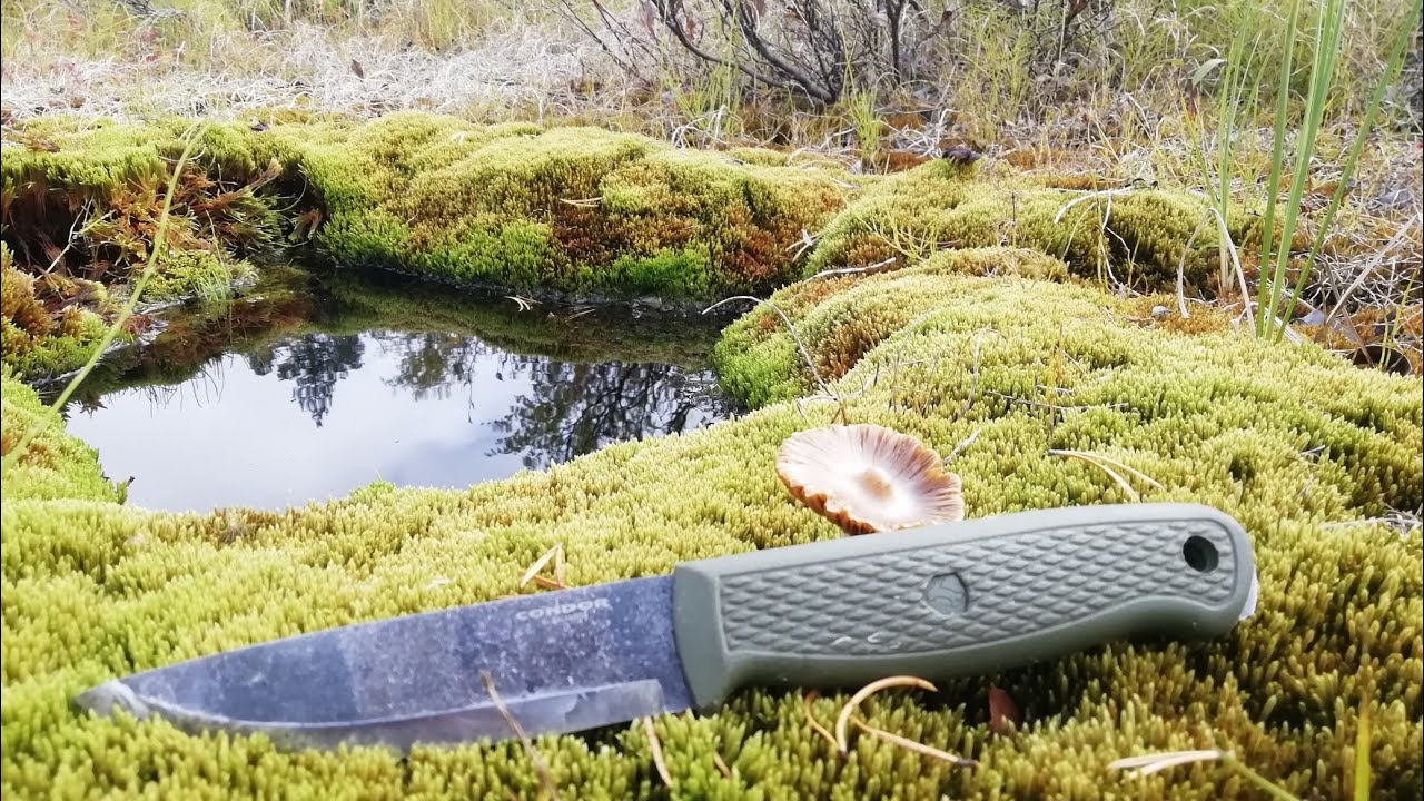 El Condor Terrasaur cuchillo.