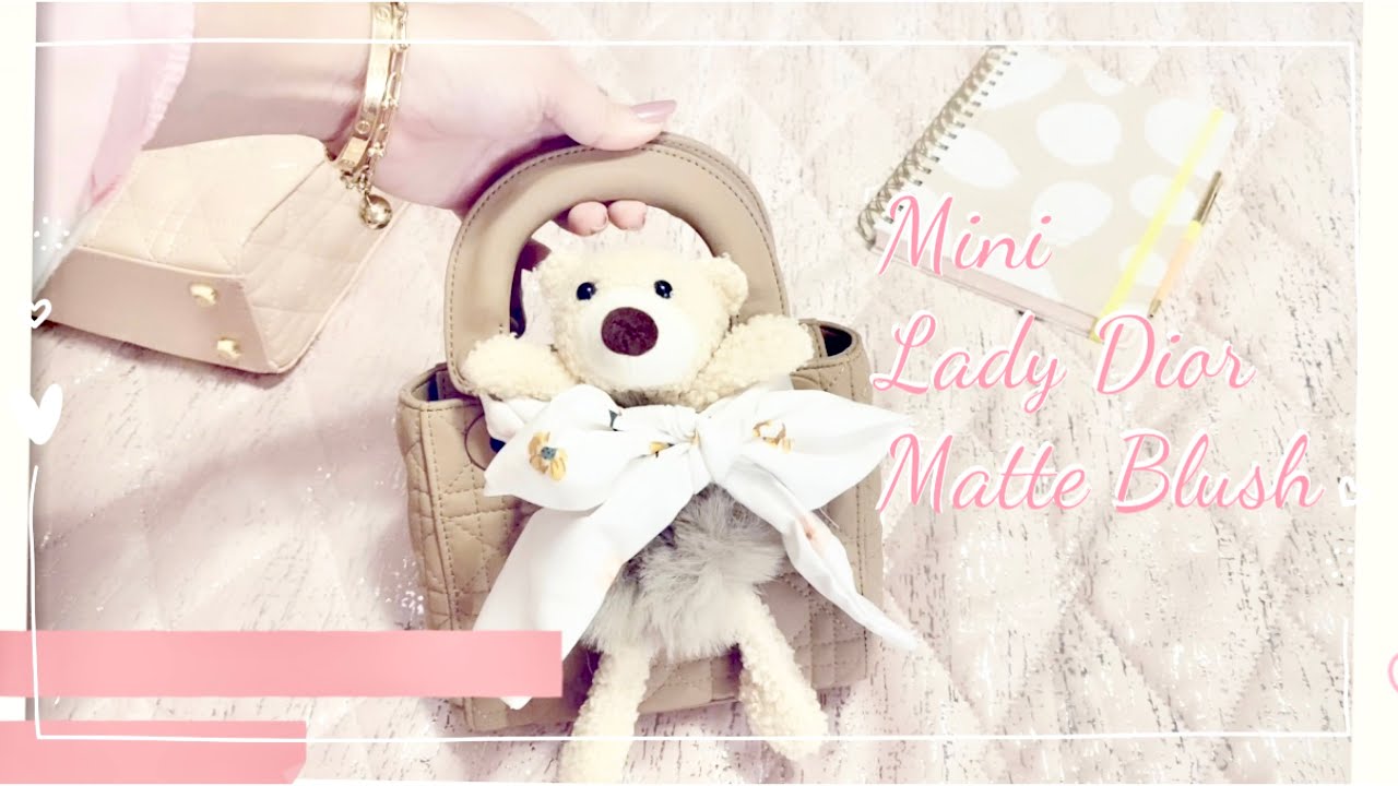 How I Style My Mini Lady Dior Bag With Twilly/Scarf | It's Meeyakoh