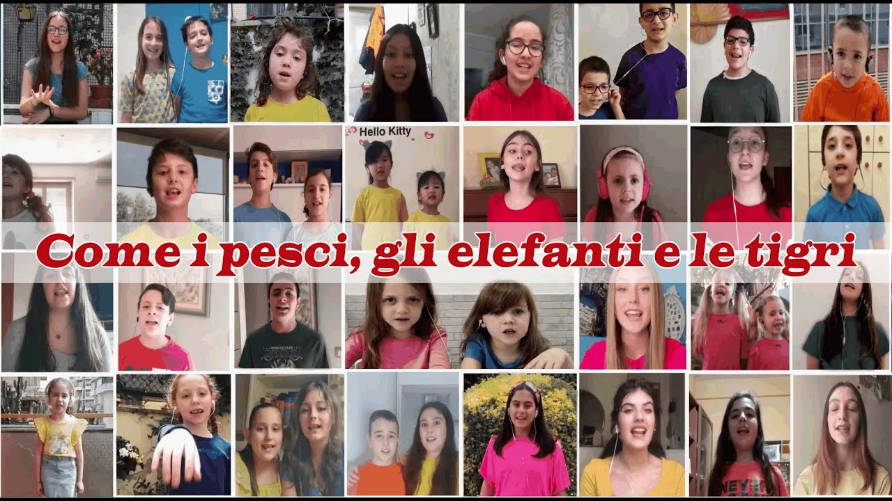 Come i pesci gli elefanti e le tigri