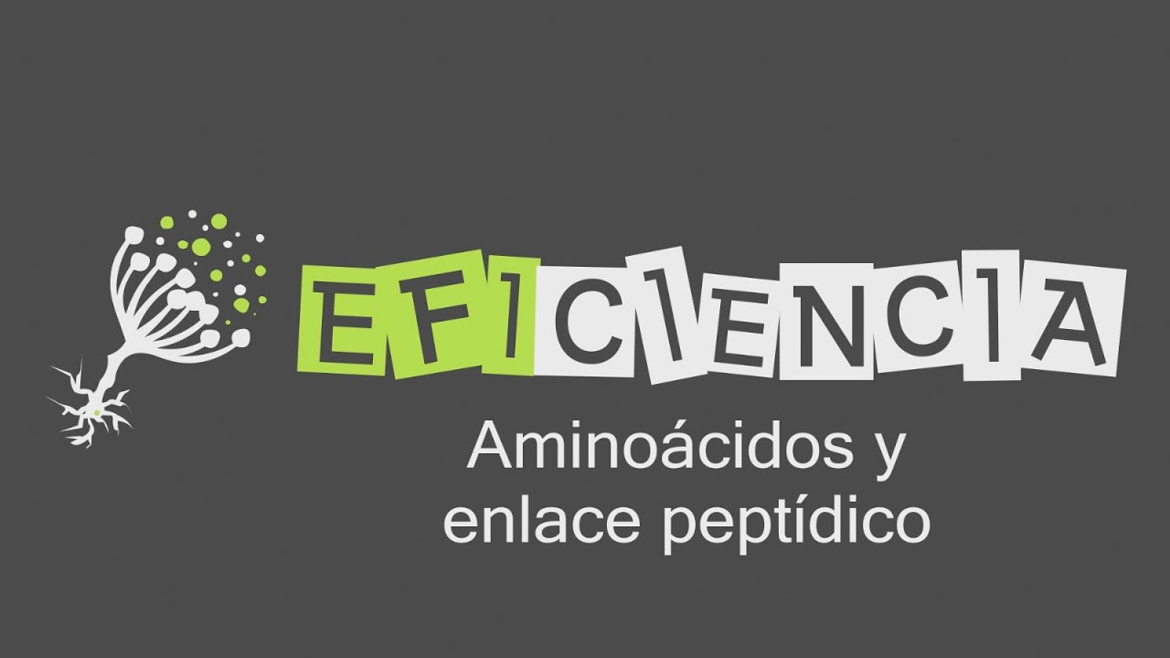 PROTEÍNAS: AMINOÁCIDOS Y ENLACE PEPTÍDICO. Isomería Anfótero Alifático Heterocíclico Aromático