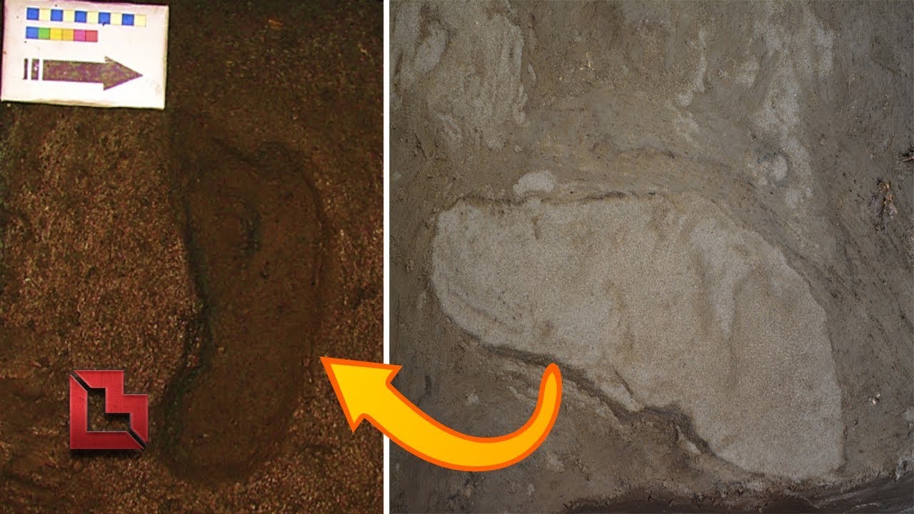 Oldest Human Footprint in Americas May Be This 15,600 Year Old Mark in Chile