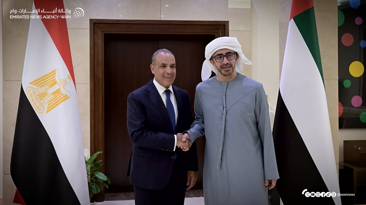 عبدالله بن زايد يستقبل وزير الخارجية والهجرة المصري.. ويبحثان العلاقات الأخوية والتطورات الإقليمية