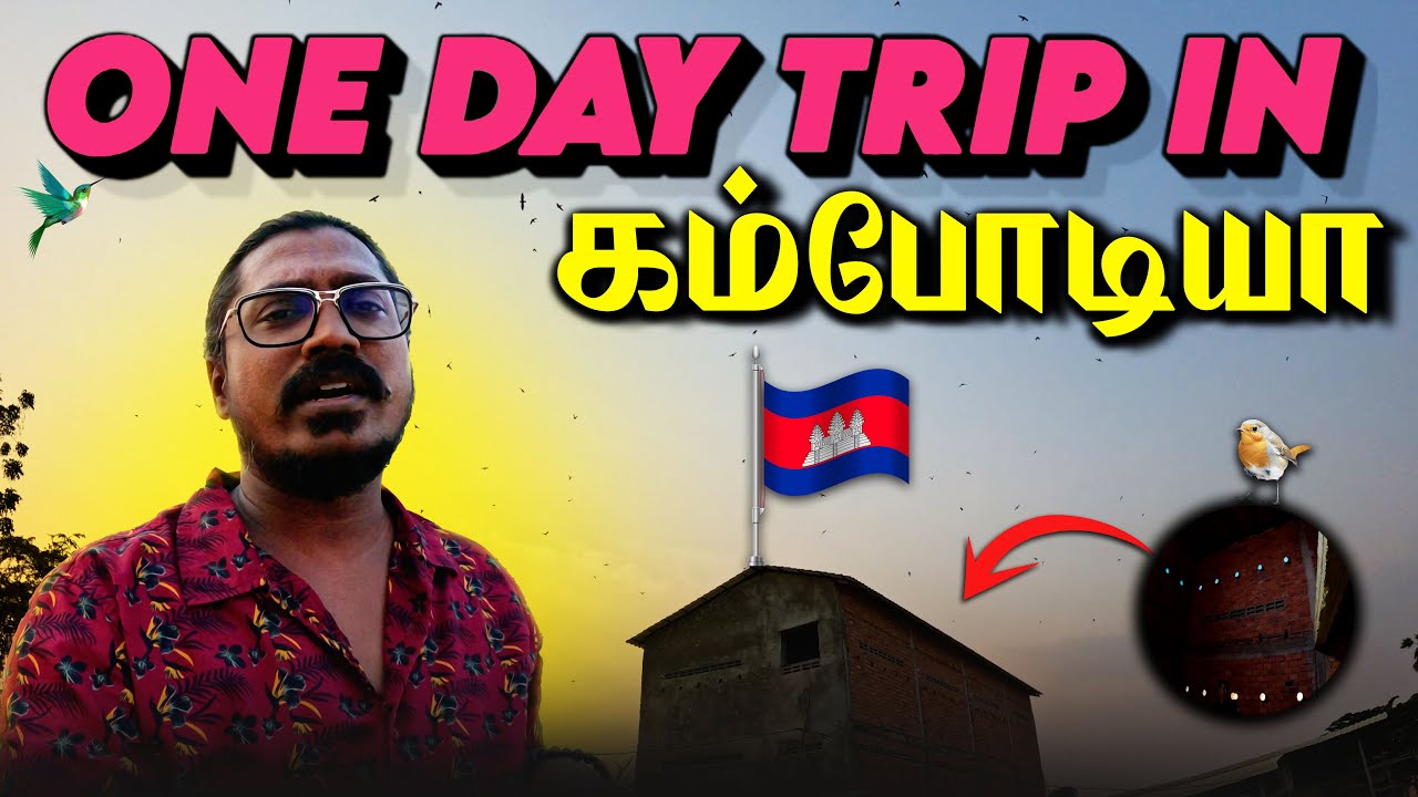 🚫கம்போடியாவில் பறவைகளின் கூடு கட்டும் கலை! Day trip to explore Bird Nest Building in Cambodia 🇰🇭