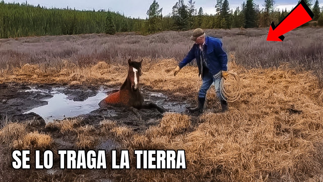 Este SOLITARIO PARAJE se TRAGA a los ANIMALES en los Andes del Perú