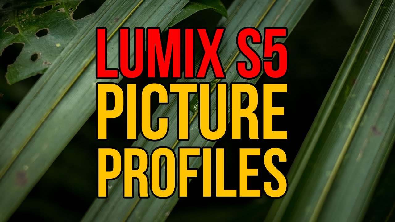 What Is The BEST Panasonic Lumix S5 PICTURE PROFILE For Photography?
