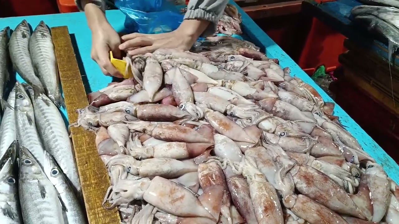 Beli seafood di Sabah untuk bawa balik Sarawak, MURAH MURAH SEAFOOD!!!