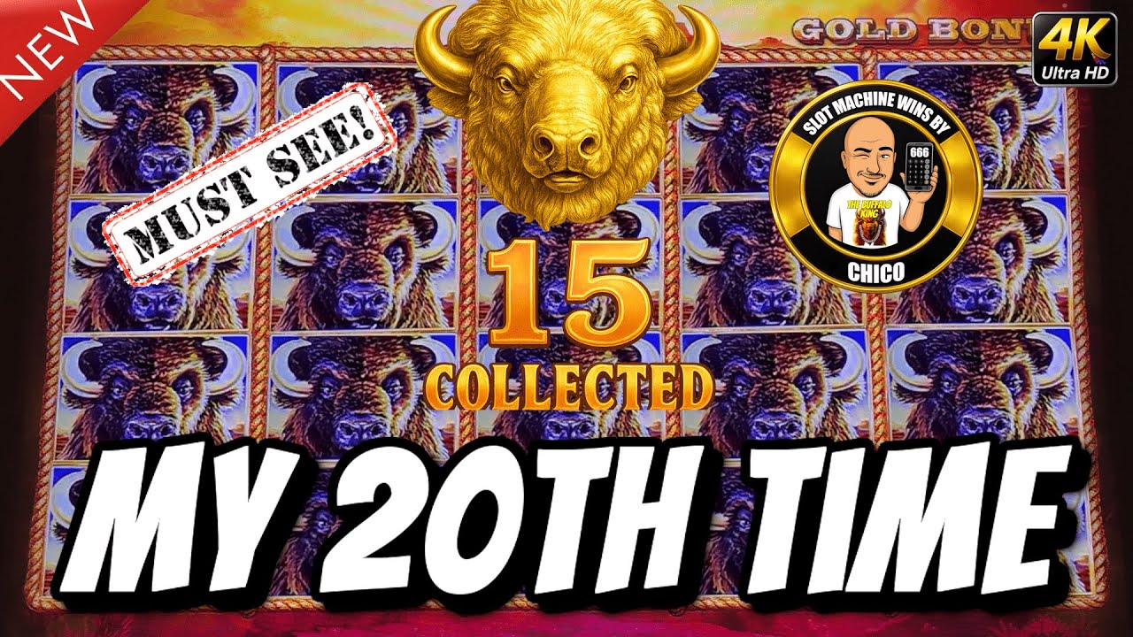 My 20th Time Getting All 15 Gold Heads on Buffalo Gold #BuffaloKing