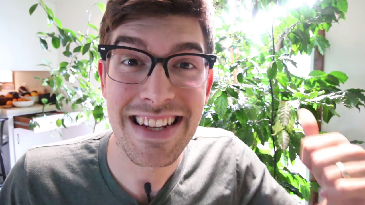 Time to Prune The Coffee Tree!