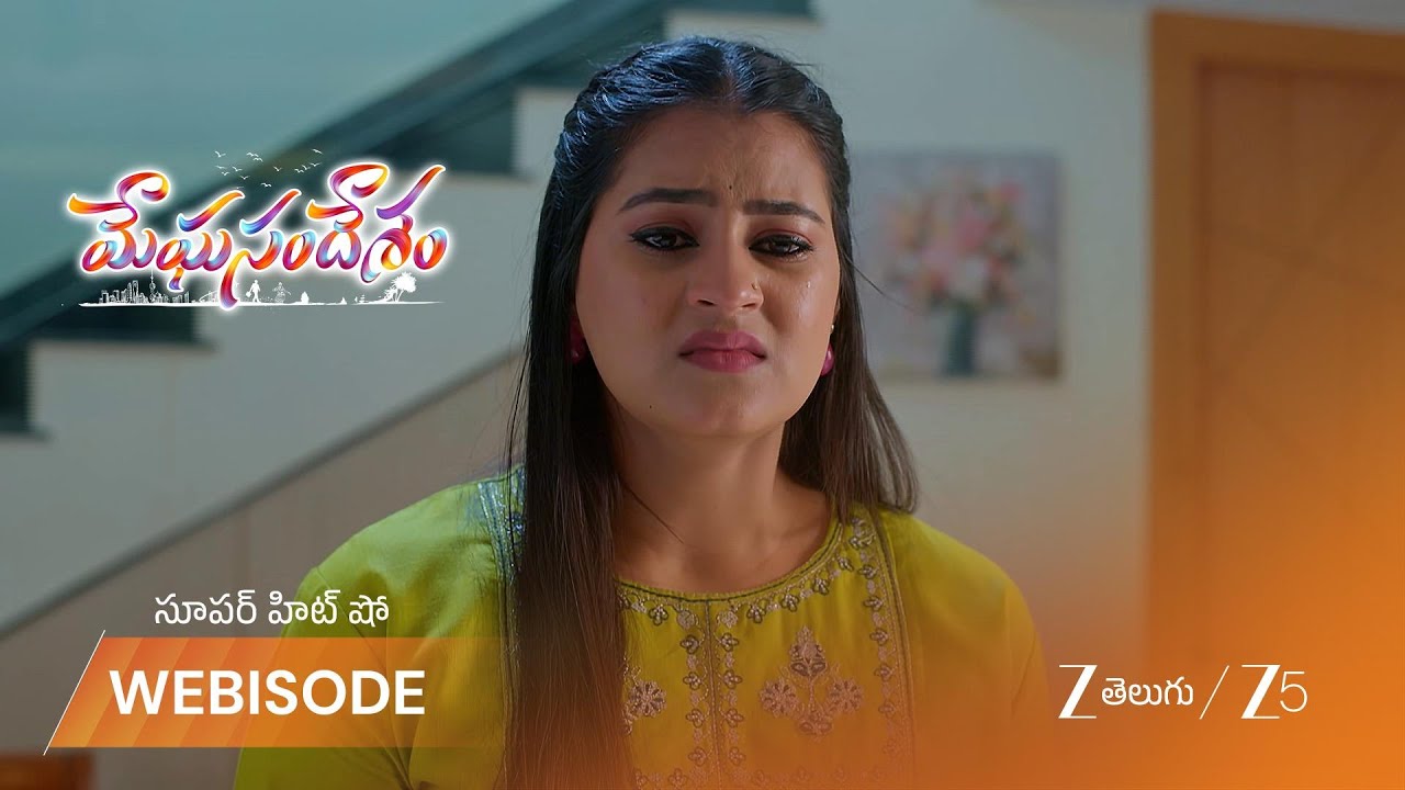 MEGHASANDESAM | బిందు పరువు తీస్తుందని నిందిస్తున్న తండ్రి