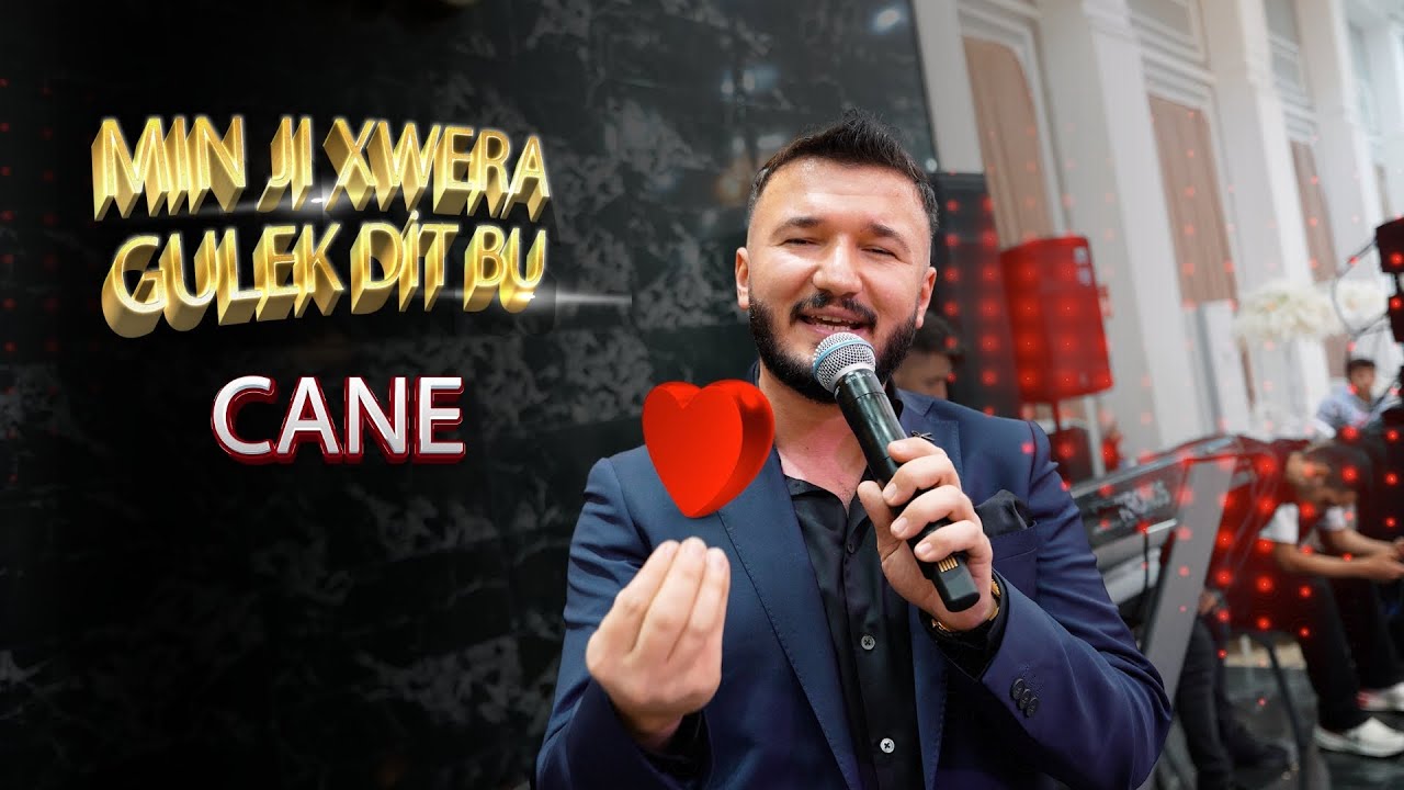 DOĞAN IŞIK - MIN JI XWERA GULEK DITBU & CANE