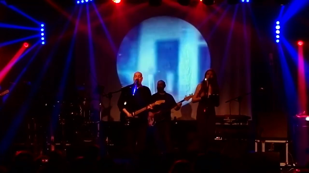 WILD JOKERS   David Gilmour On An Island Cover    CrossRoads2025