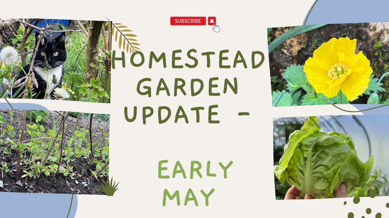 Homestead Garden Update in Early May