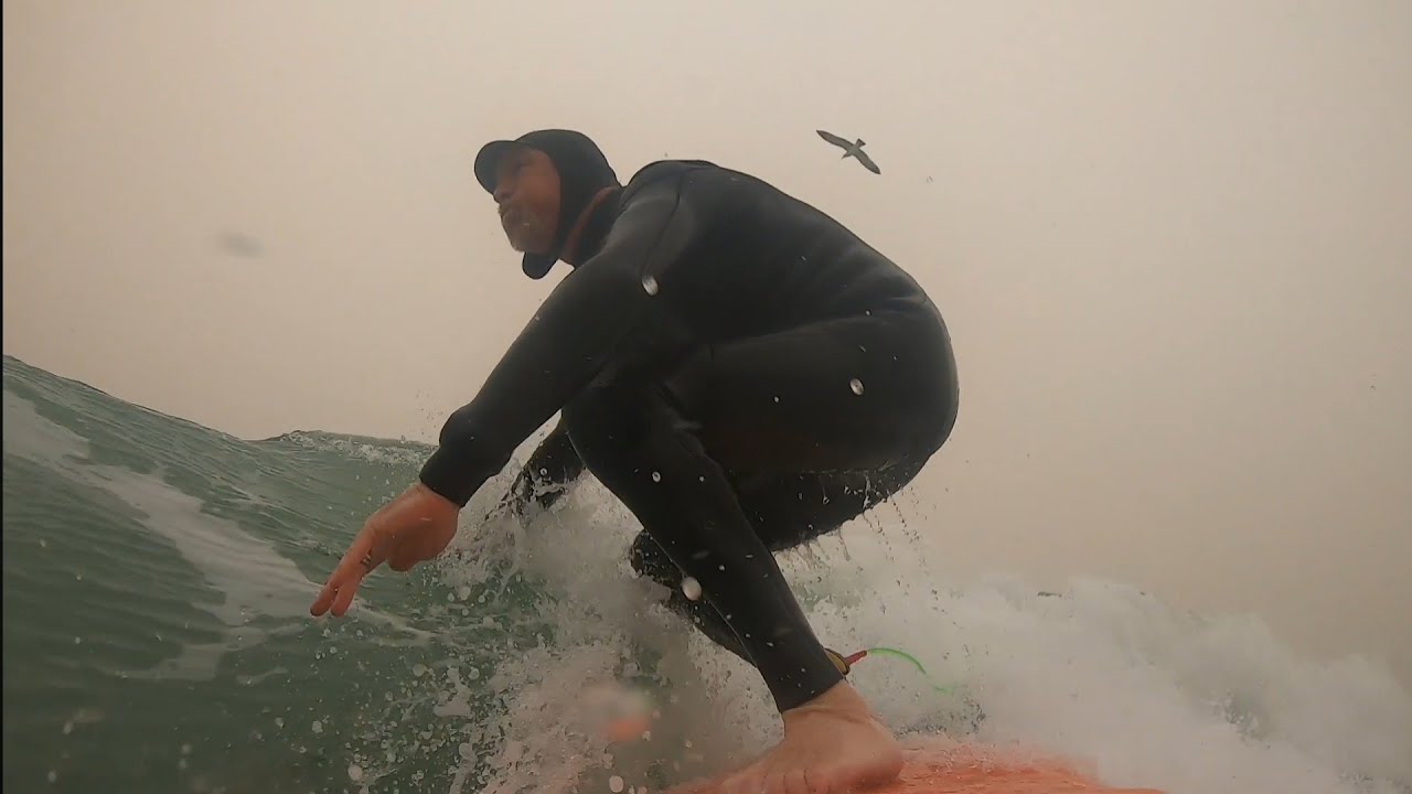 Robert bam surf4evrr 