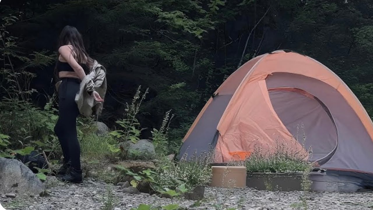 Rencontres De Camping Les Plus Troublantes Capturées En Direct