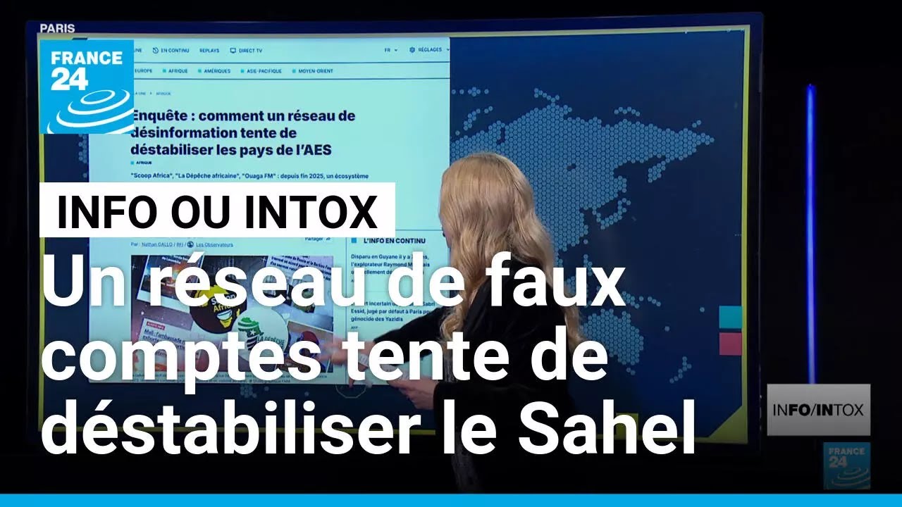 Un nouveau réseau de désinformation cible les pays de l’Alliance des Etats du Sahel (AES)