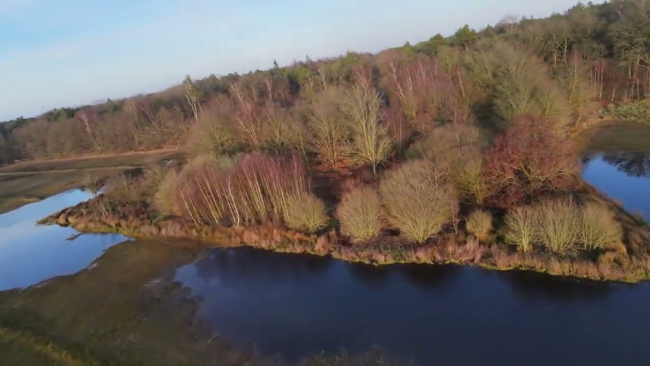 DJI NEO 2 manual mode FPV full acro. Improving step by step