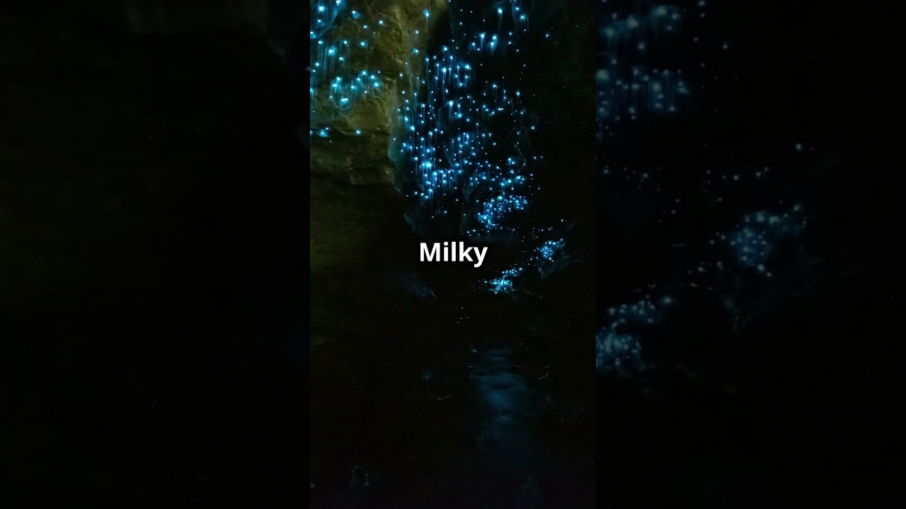 The Magical Glowworm Caves of New Zealand 