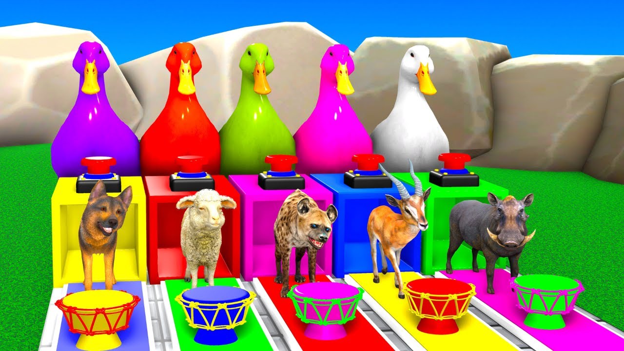 Satisfying 3D Animals Cartoon | Colorful Animation for everyonel, relaxing, and stress free visual