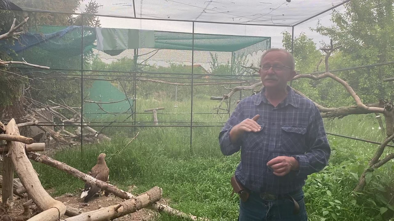 FOPiT GOBI apeluje: Nie zabierajmy małych zwierząt z lasu!