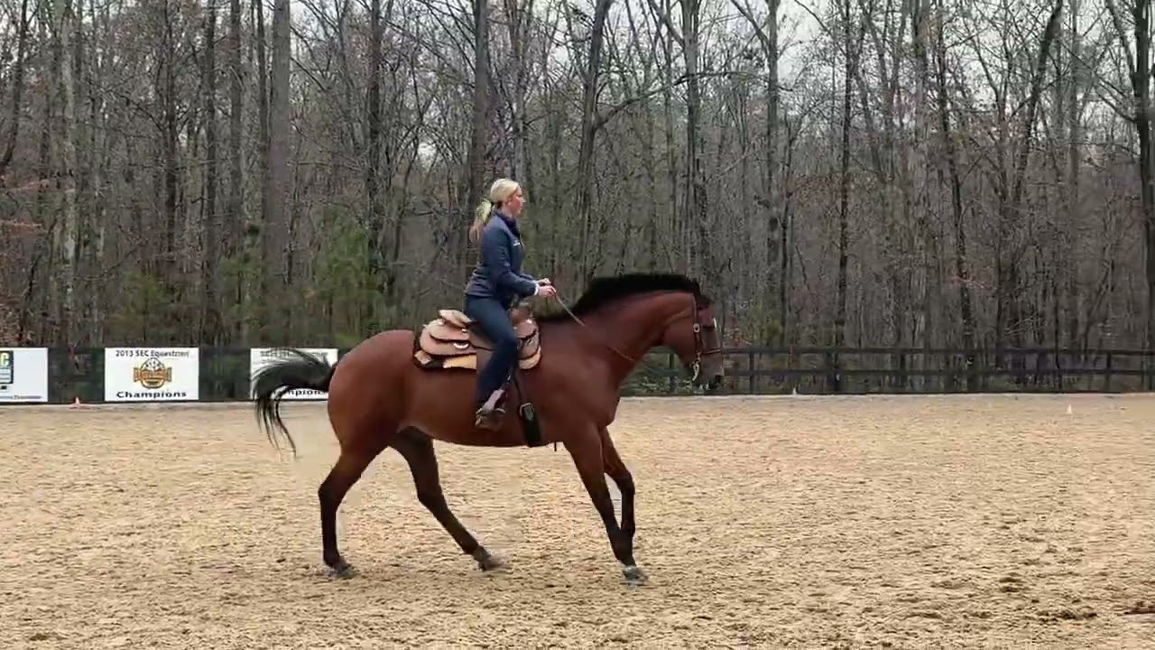 University of South Carolina. Horsemanship Scrimmage on Z