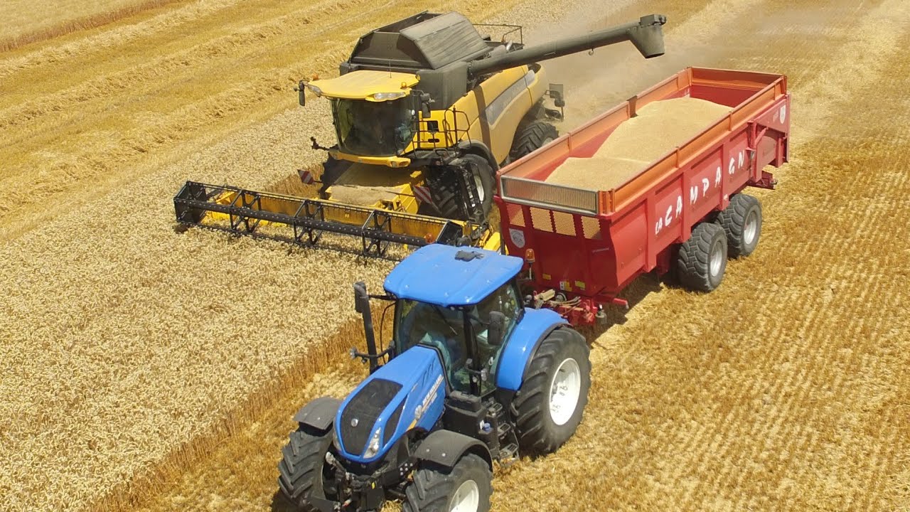 MOISSON DU BLÉ | Drone