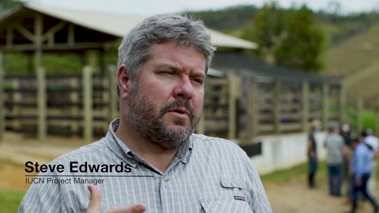 Restoration following a major disaster – Stephen Edwards
