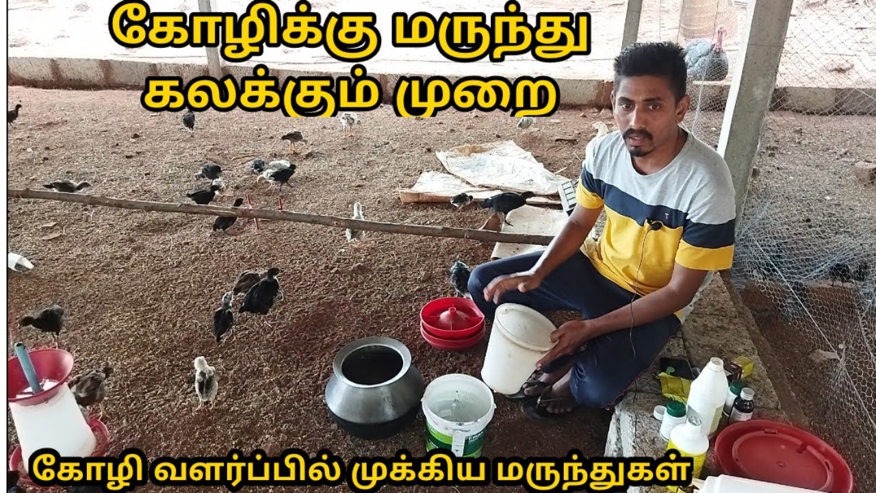 கோழிக்கு மருந்து கலக்கும் முறை|கோழி வளர்ப்பில் முக்கிய மருந்துகள்