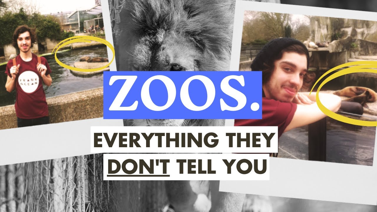 Why SHOULDN'T we support zoos and their conservation work?