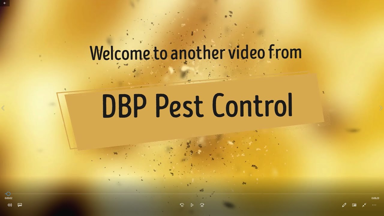DBP Pest Control - Ratting with the .22 BSA Ultra SE