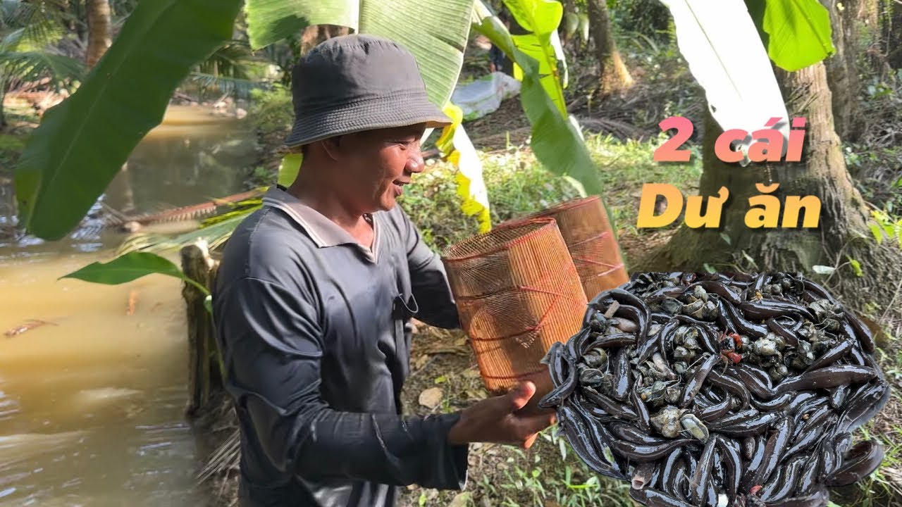 C&aacute; bống dừa d&iacute;nh đen thau nấu cơm qu&ecirc; b&ecirc;n ch&ograve;i l&aacute; | C&ugrave; Lao Dung Vlogs