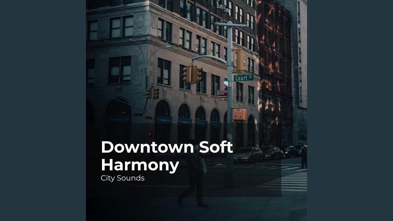 Urban Sonic Environment