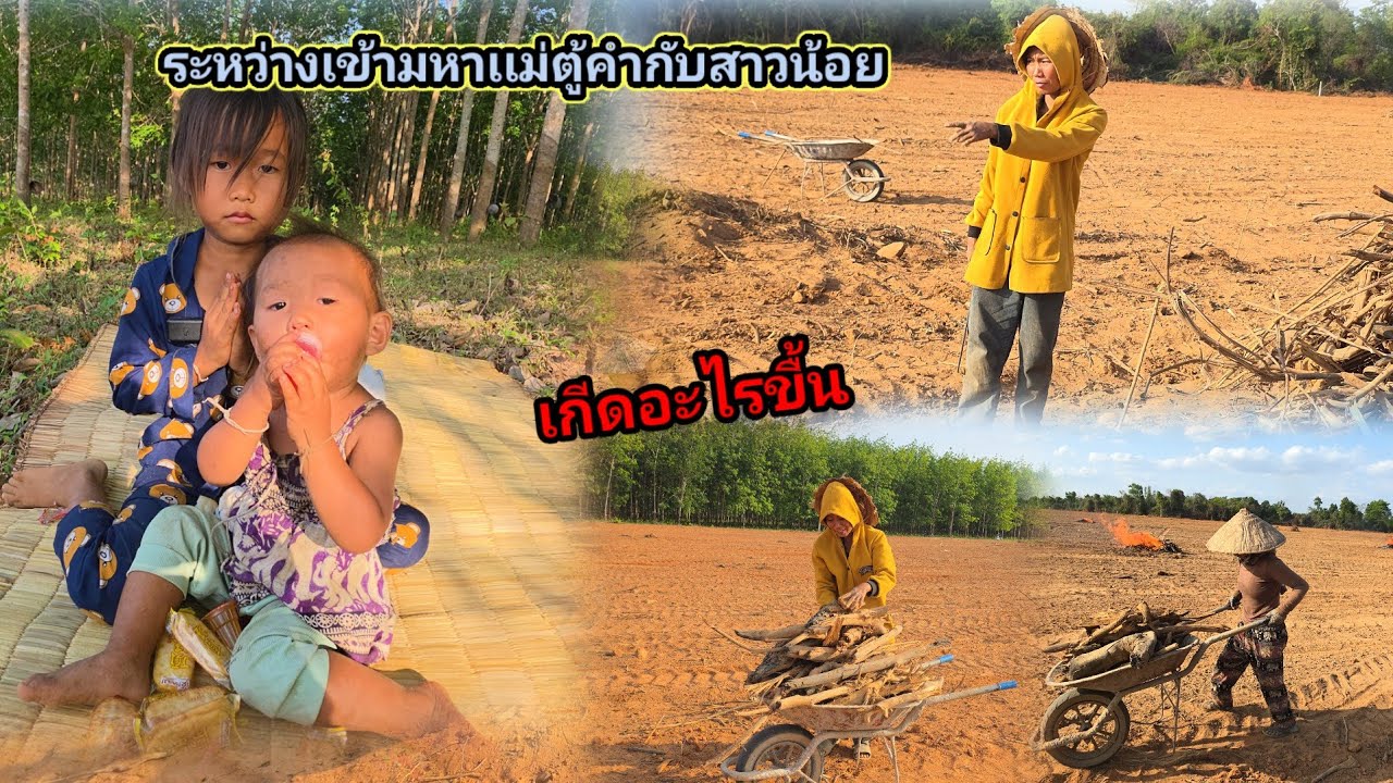 น้องราตรีรับข่าวไม่ดีมีการสูญเสียของที่รัก ระหว่างมารับจ้างเก็บไม้ 9 มีนาคม ค.ศ. 2026