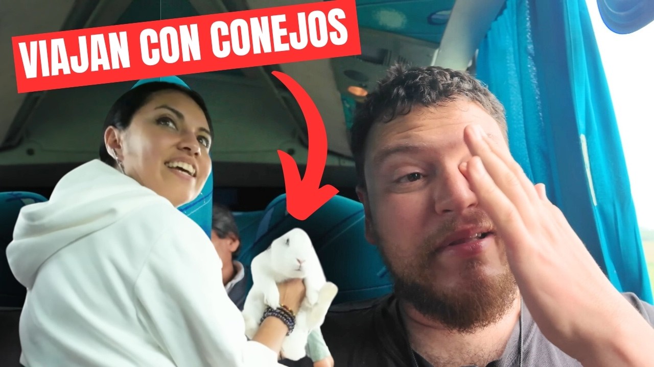 Así es VIAJAR en los BUSES 