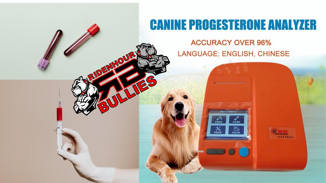 CANINE PROGESTERONE ANALYZER (TAKE YOUR YARD TO THE NEXT LEVEL)
