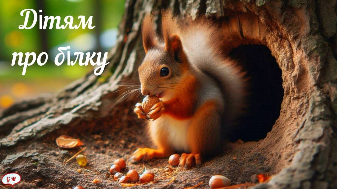 Дітям про білку. Дикі тварини.
