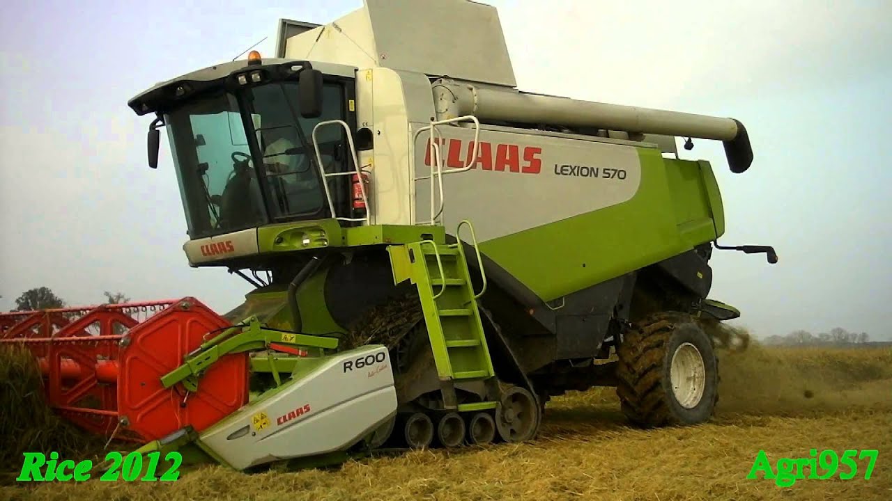 EXTREME RICE CONDITIONS - Lexion 570 - 2012 season