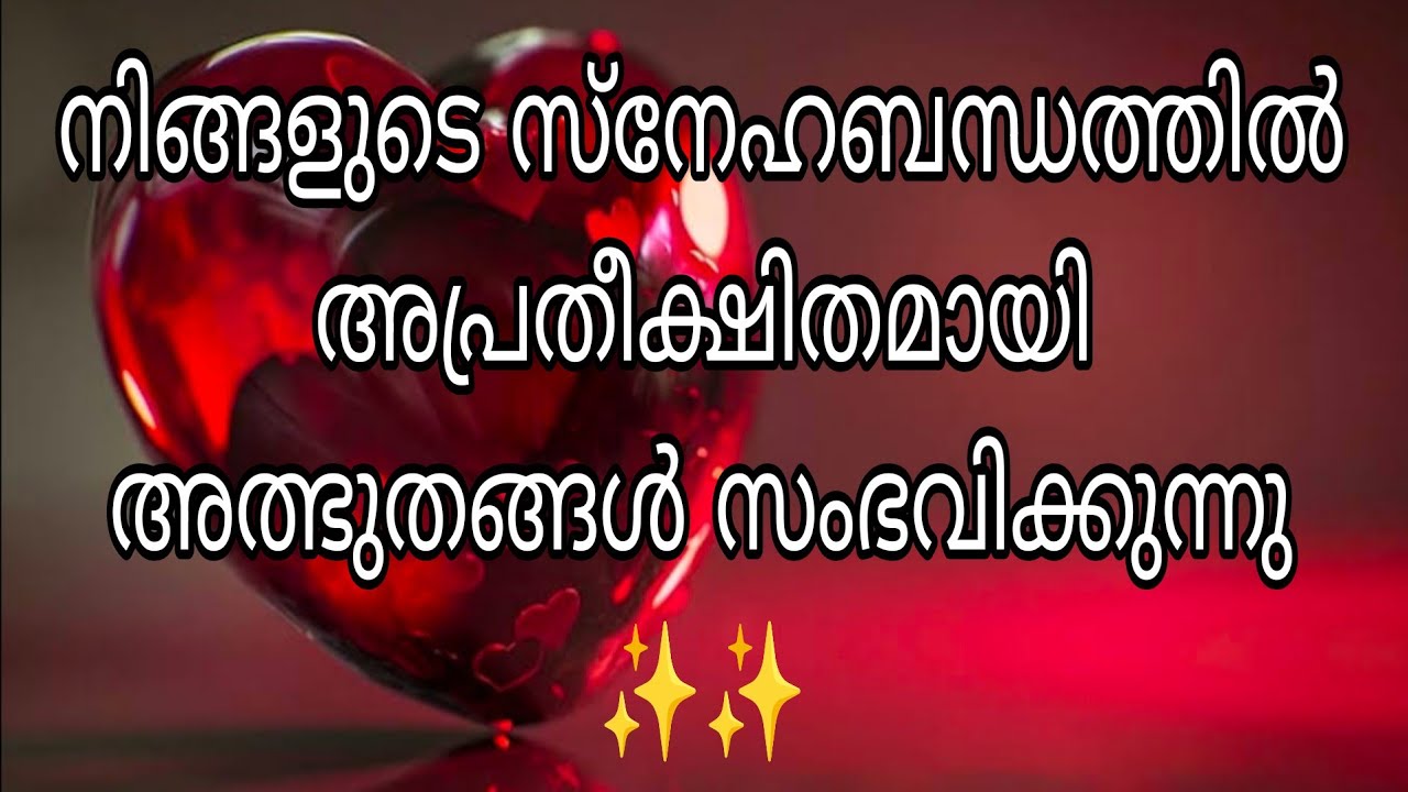 നിങ്ങളുടെ വ്യക്തിയുമായുള്ള സ്നേഹബന്ധത്തിൽ യൂണിവേഴ്‌സ് അത്ഭുതങ്ങൾ പ്രവർത്തിക്കുന്നു ✨✨