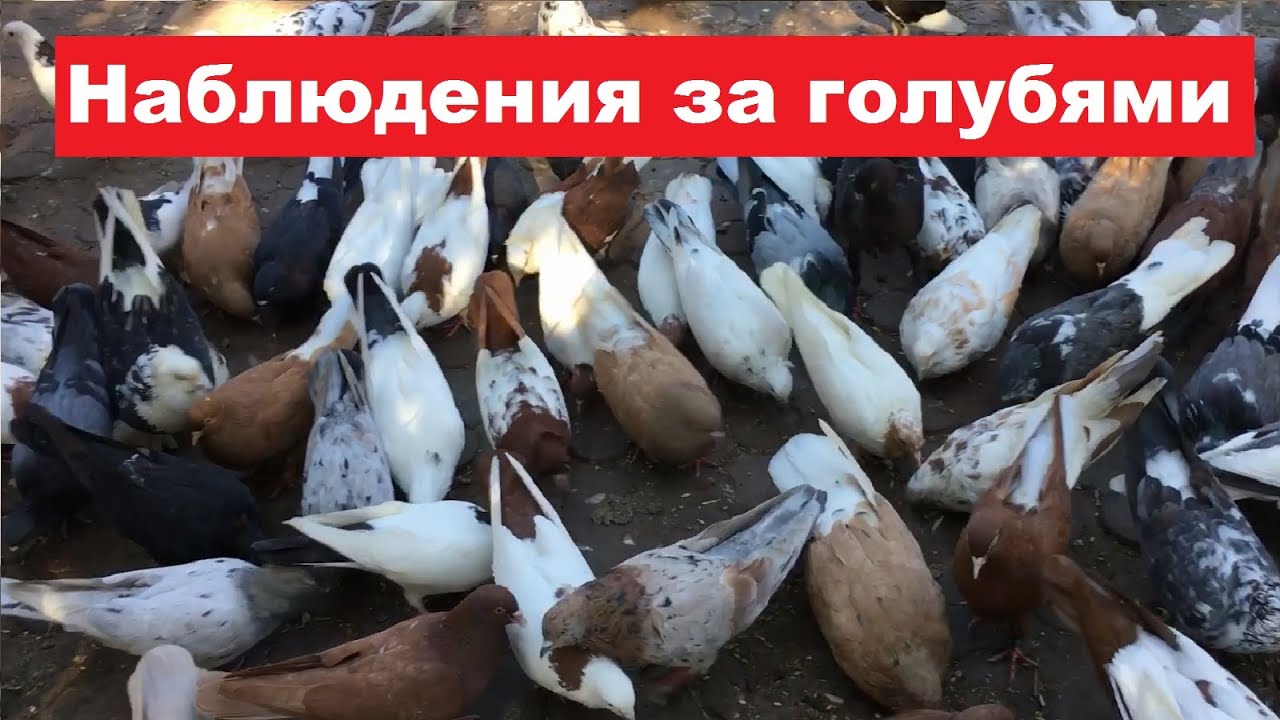 Понемногу о разном.