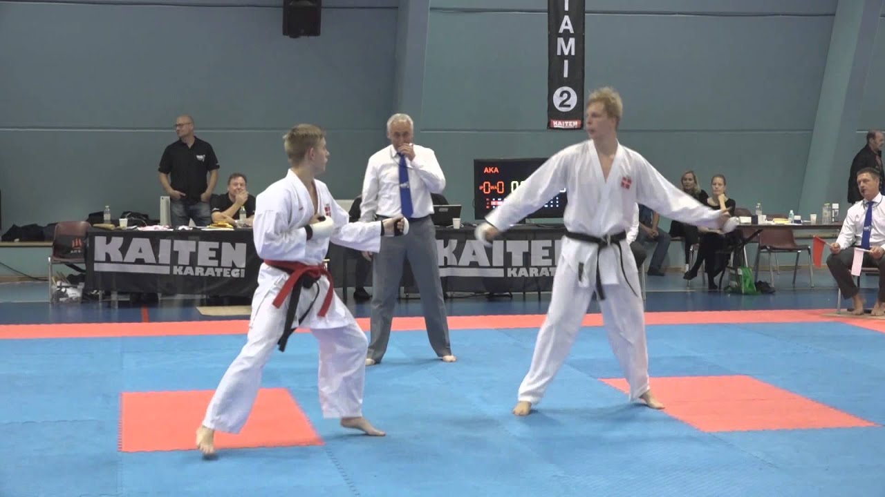 Shobu Ippon Tournament Denmark 2015 - Fight 13