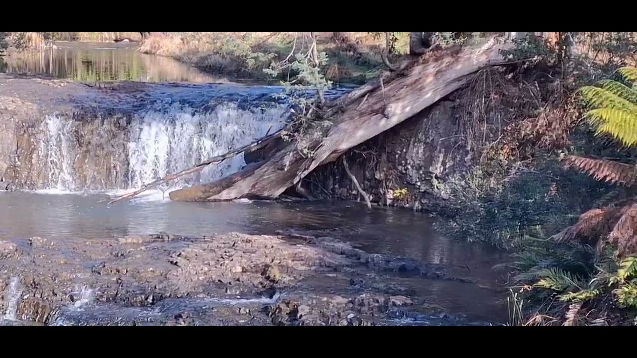 Winter time at Guide Falls Tasmania