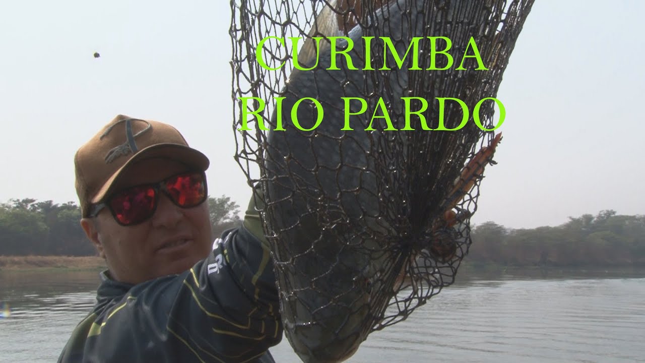 COMO PESCAR CURIMBA NO RIO PARDO