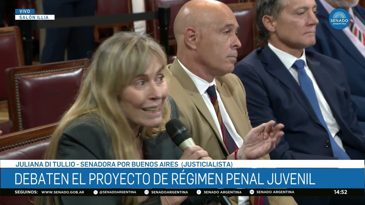 SENADORA JULIANA DI TULLIO - PLENARIO DE JUSTICIA Y PRESUPUESTO 19-02-26
