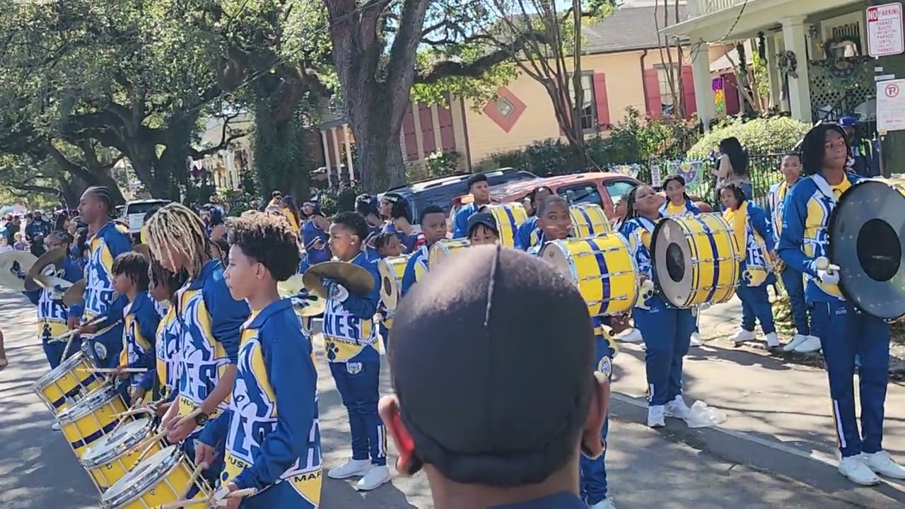 Hynes Parkview DRUMLINE #mardigras #femmefatale #hynesparkview