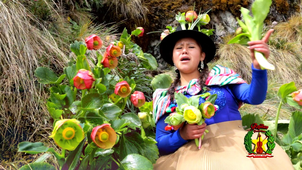 LINDA CANCION DE FLOR ENCANTO DE ROBLE EXPRESION ANDINA TAYACAJA PERU TF. 995667274  MARCO MUSICAL