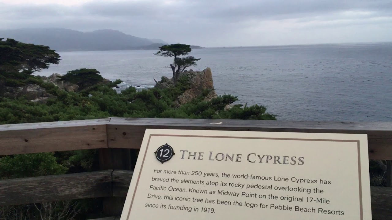 Alone With the Lone Cypress!