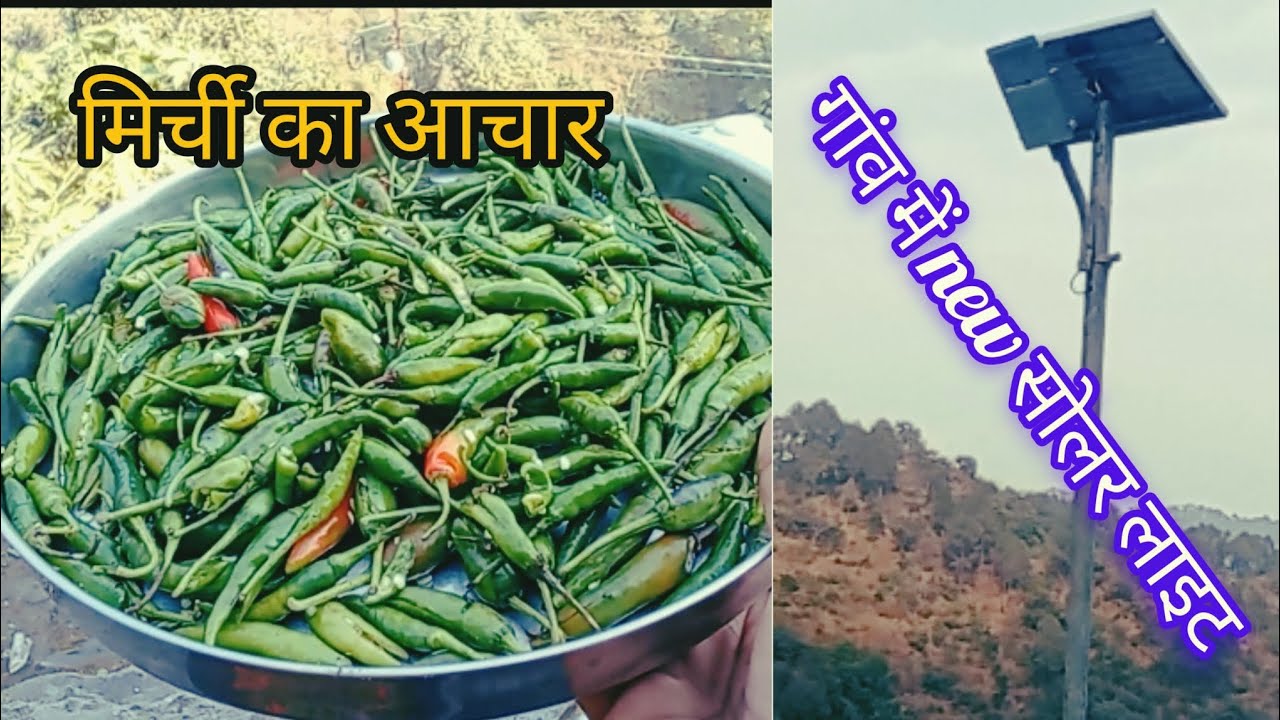 अपने किचन गार्डन की हरी मिर्च का आचार /और गांव में सोलर लाइट जांच के बाद बदली गई 