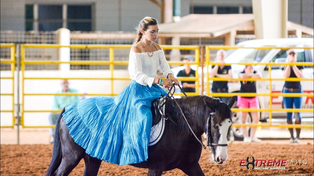 Ocala Extreme Mustang Makeover 2019 - Boo (100 Day Training Challenge)