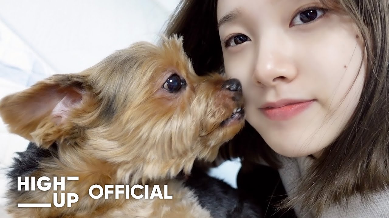 예은이의 Vlog | 2022 새해맞이 브이로그🐶(떡국장인/까미/탄이/새해복많이받으세요!)